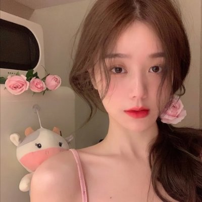 蜡笔小新：我们的恐龙日记